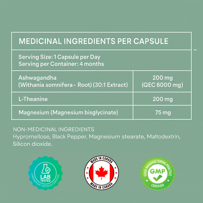 Ashwagandha, L-Theanine, Magnesium